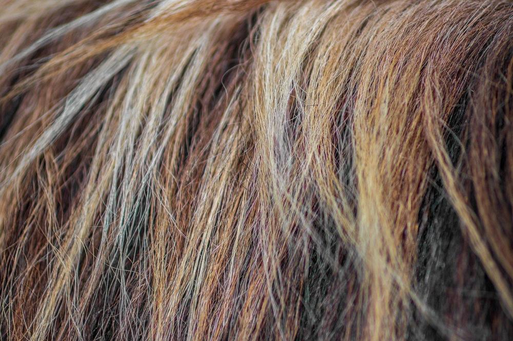 hair treatment